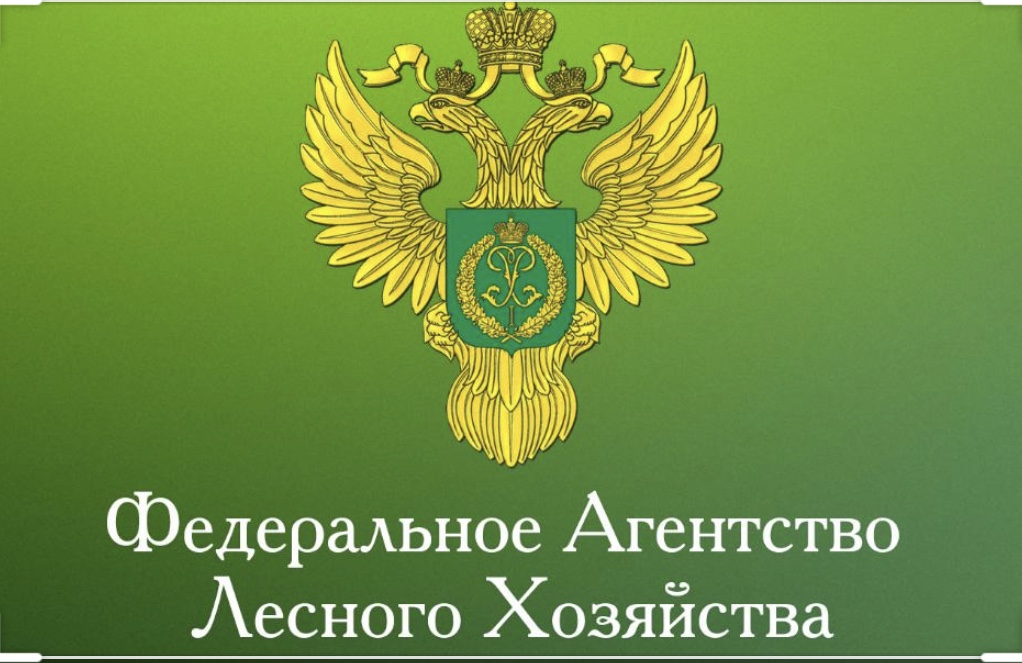 Видеоконференция по вопросам администрированию платежей за пользование лесными участками.
