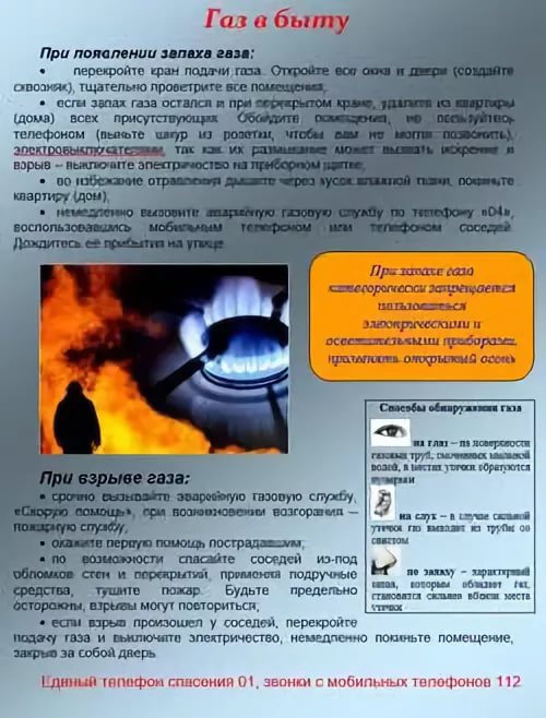 Отдел надзорной деятельности и профилактической работы Волосовского района предупреждает о мерах безопасности при эксплуатации газового оборудования.