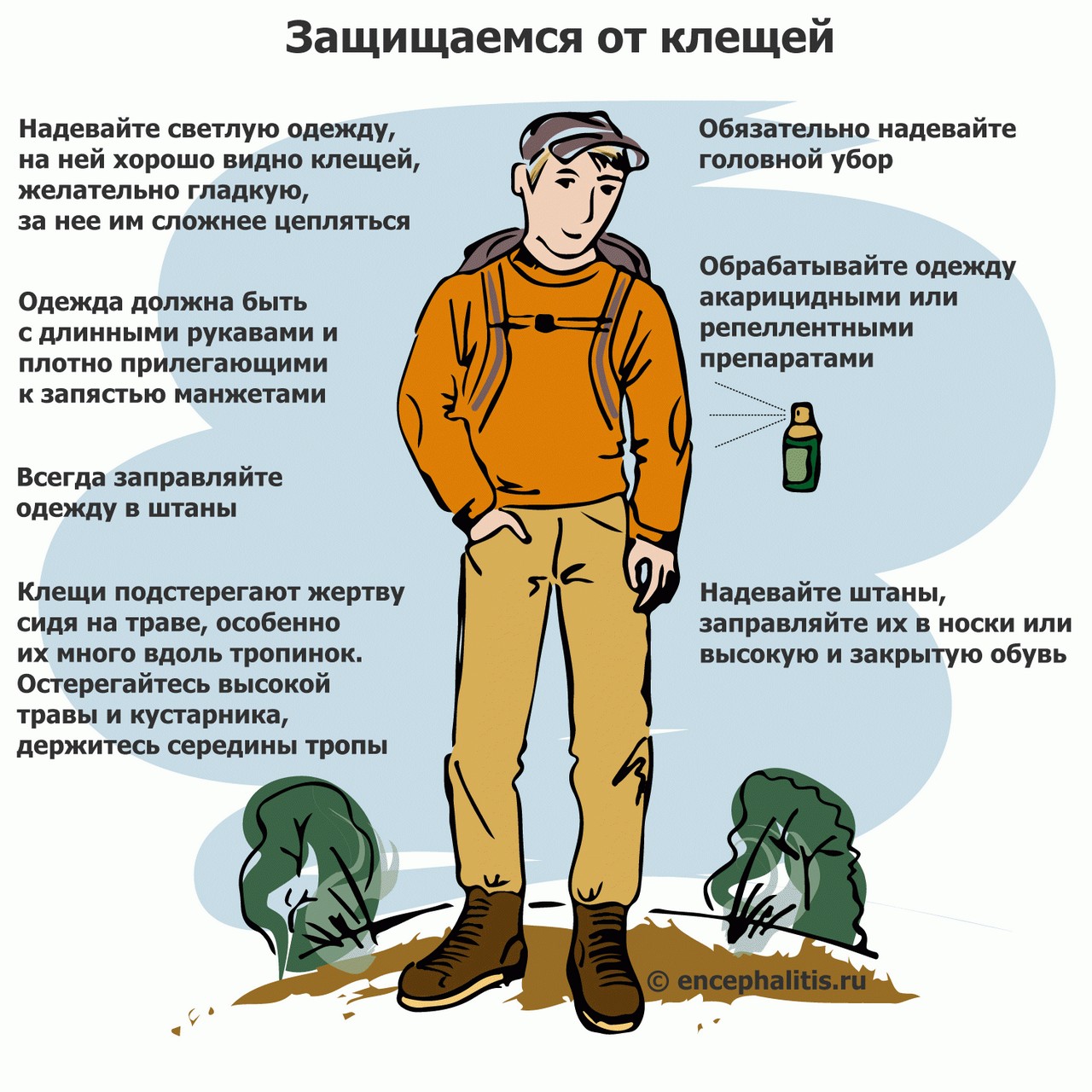 «Как защититься от клещей?».